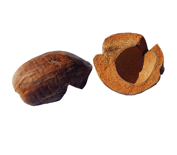 Domek kryjówka z łupiny orzecha kokosowego łuska - obrazek 2