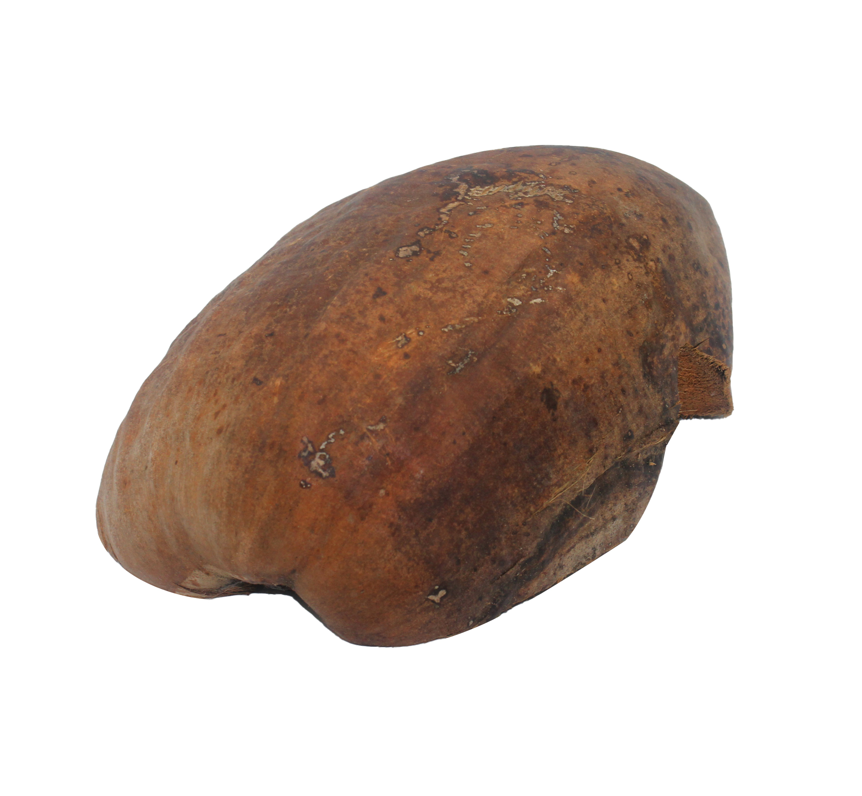 Domek kryjówka z łupiny orzecha kokosowego łuska