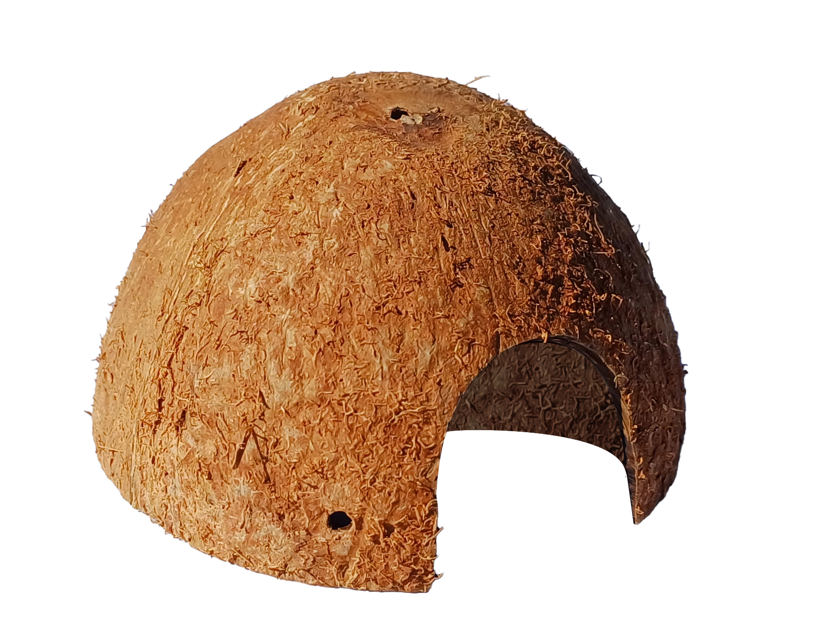 Domek kryjówka z 1/2 łupiny orzecha kokosowego - obrazek 2