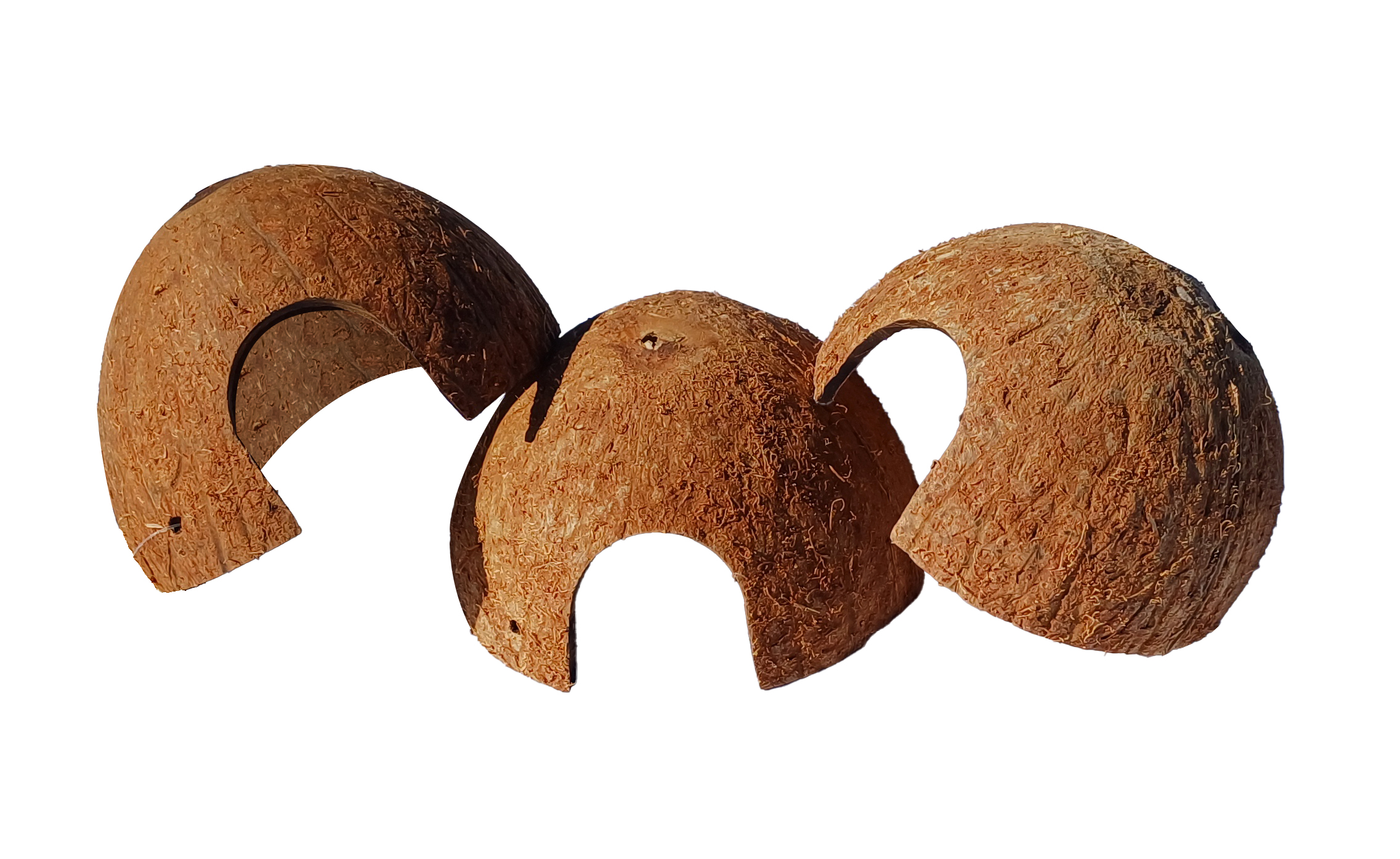 Domek kryjówka z 1/2 łupiny orzecha kokosowego - obrazek 3