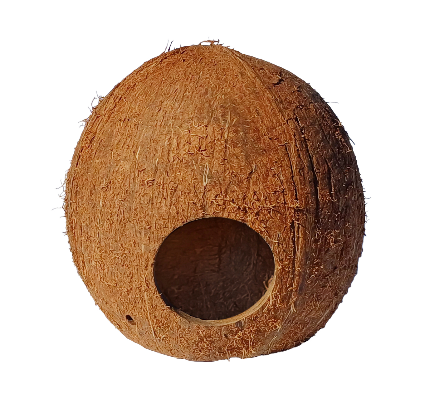 Domek kryjówka z 3/4 łupiny orzecha kokosowego