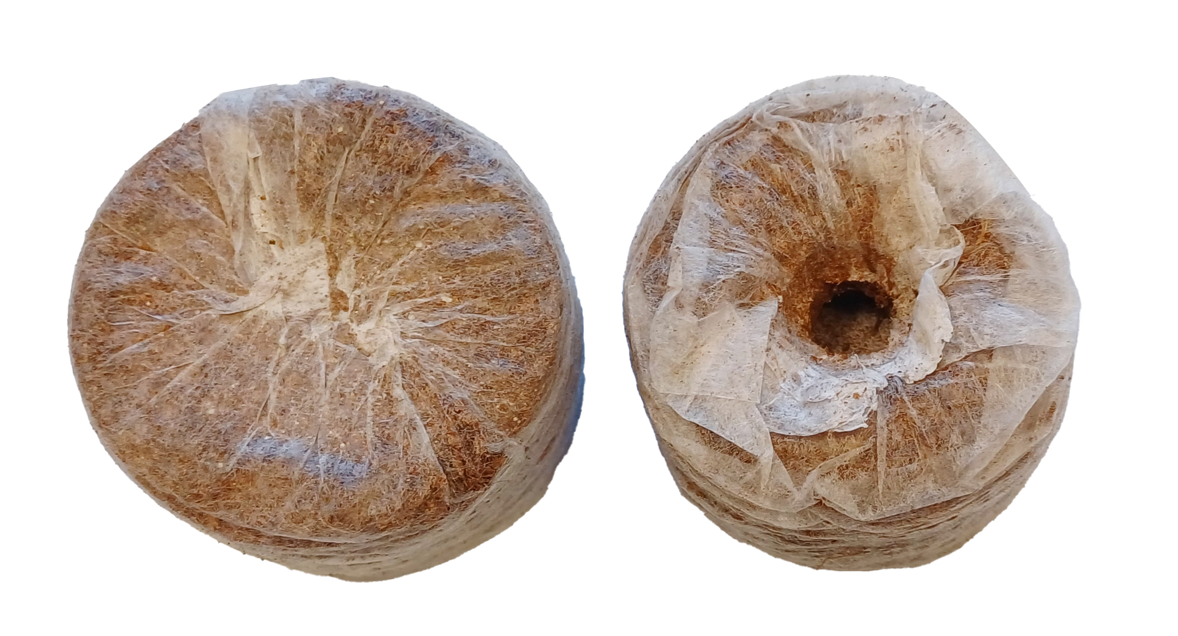 Pelety uprawowe z torfu kokosowego 35 mm - obrazek 2