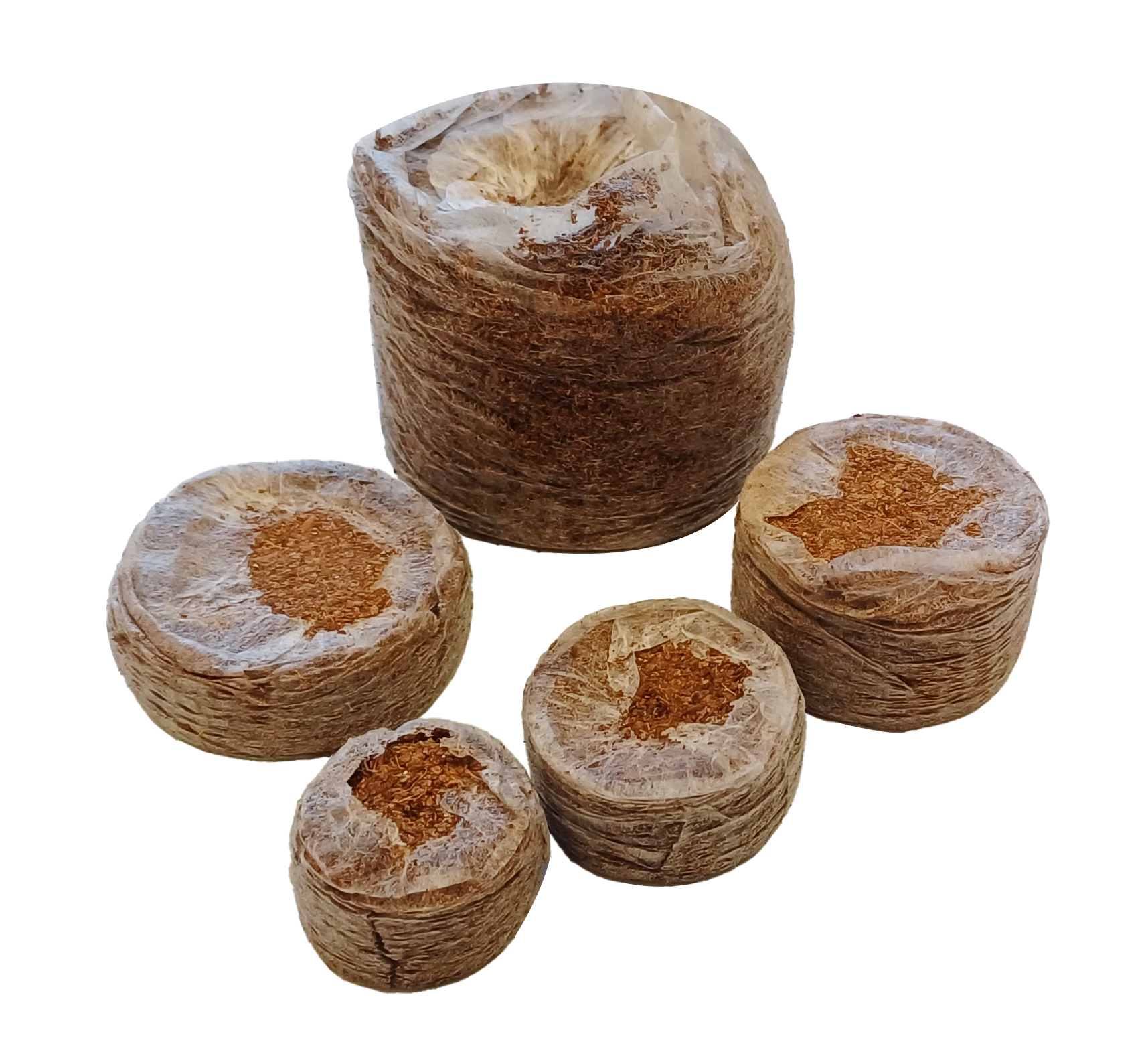 Pelety uprawowe z torfu kokosowego 35 mm - obrazek 3