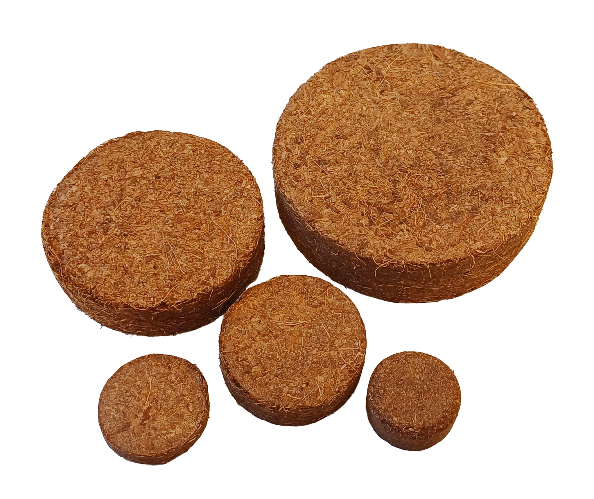 Dyski podłoża do doniczek z torfu kokosowego 10 cm - obrazek 4